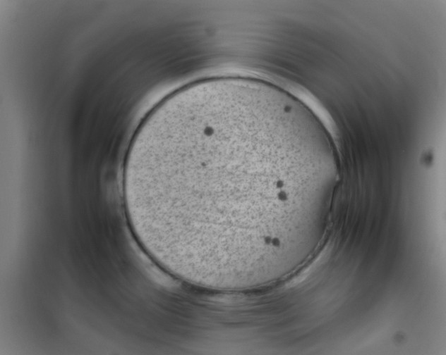 X0000100421388200807032051