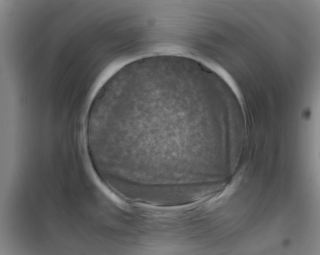 X0000100421389200807032051