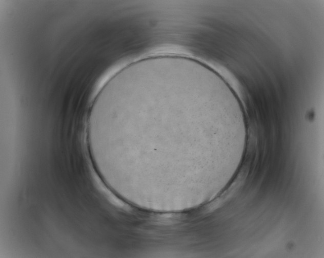 X0000100421390200807032051