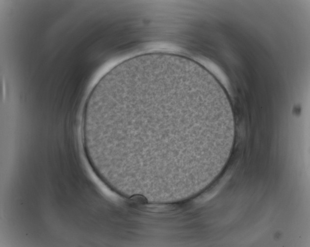 X0000100421391200807032051