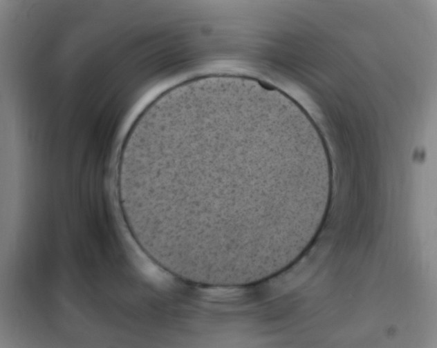 X0000100421392200807032051