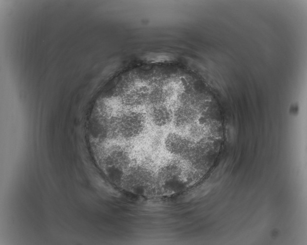 X0000100421393200807032050