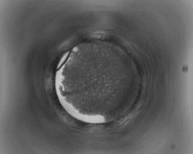 X0000100421394200807032050