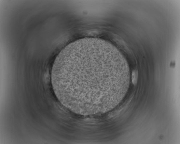 X0000100421395200807032050