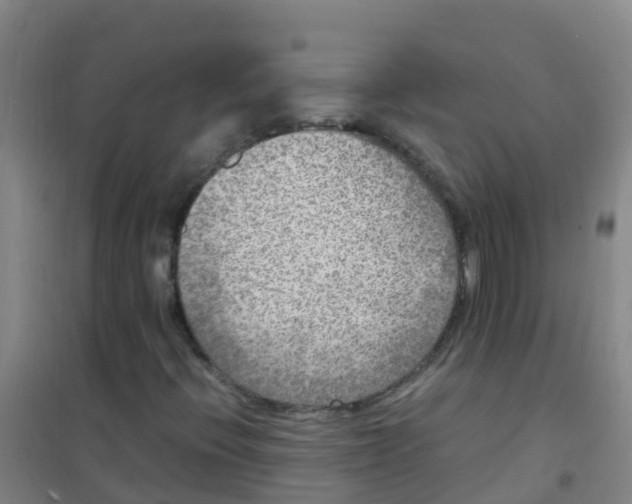 X0000100421396200807032050