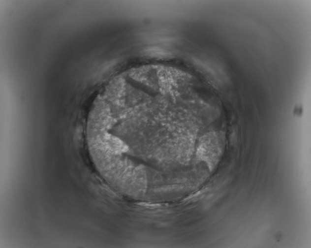 X0000100421397200807032050