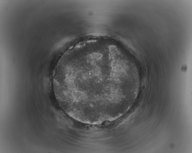 X0000100421398200807032050