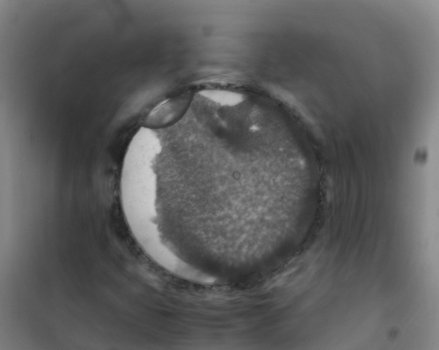 X0000100421399200807032050