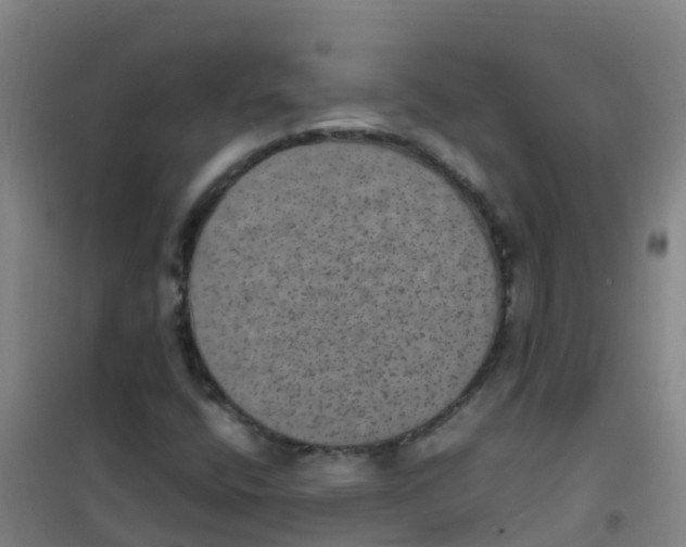 X0000100421400200807032050