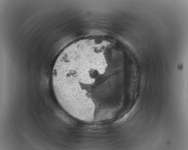 X0000100421401200807032050