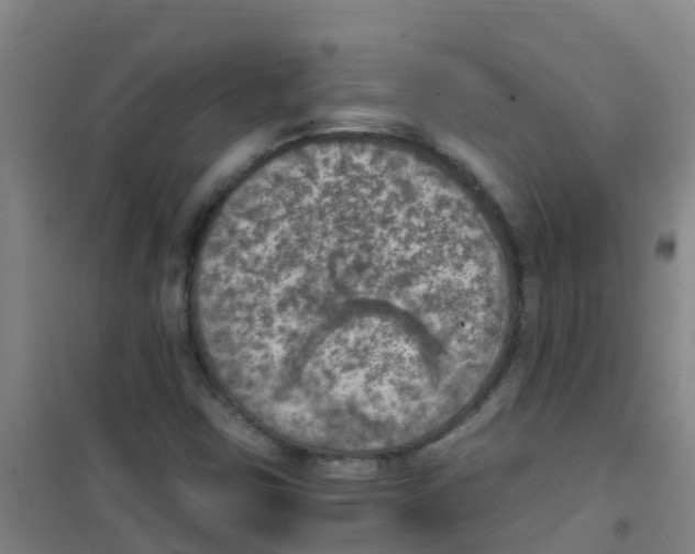 X0000100421403200807032050