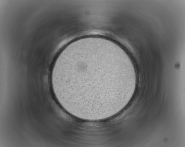 X0000100421404200807032050