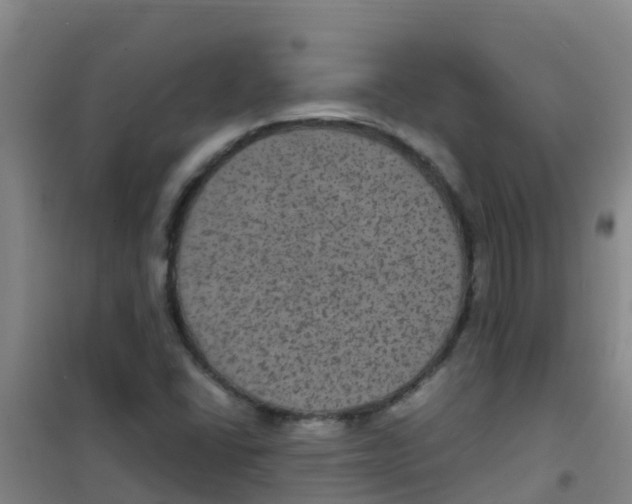 X0000100421406200807032050