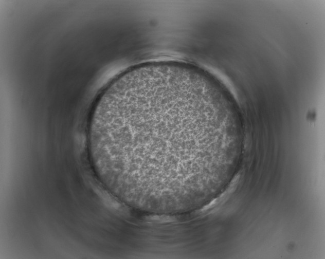 X0000100421407200807032050