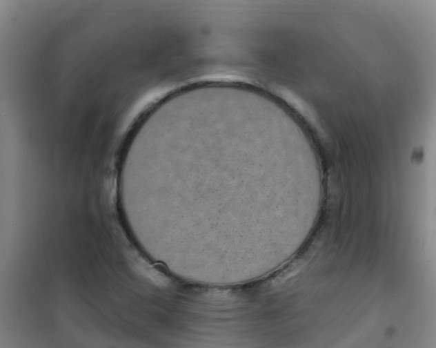 X0000100421408200807032050