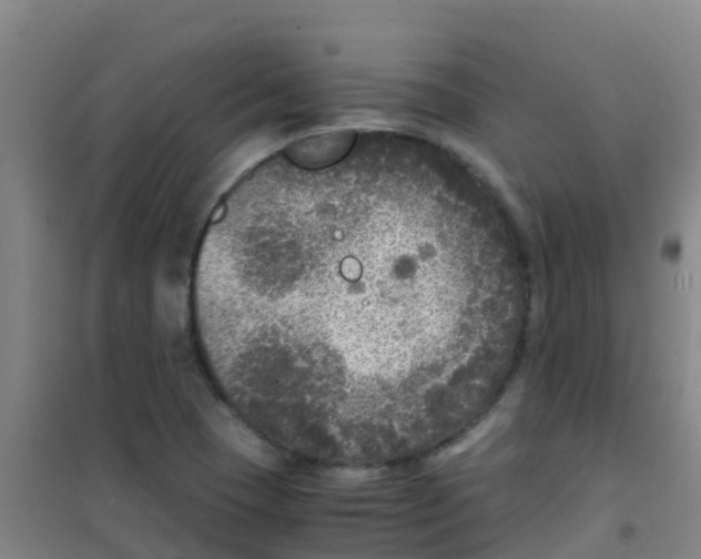 X0000100421409200807032050