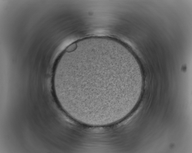 X0000100421410200807032050