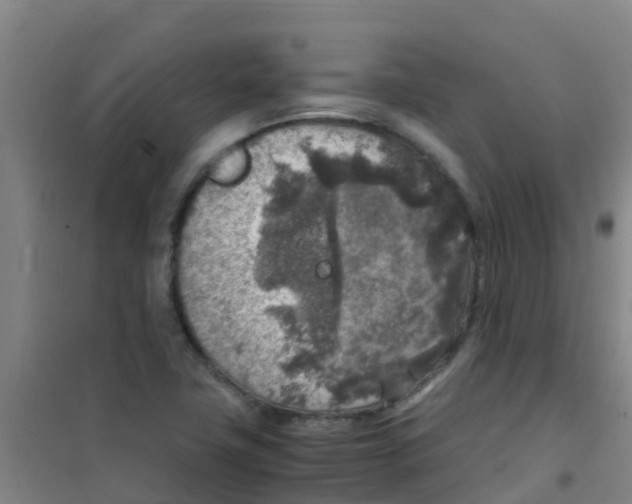 X0000100421411200807032050