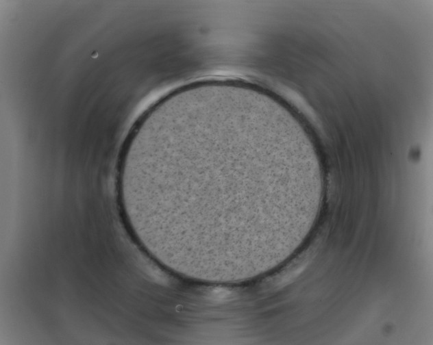 X0000100421412200807032050