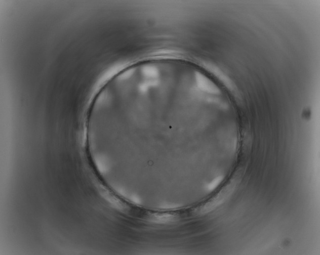 X0000100421413200807032050