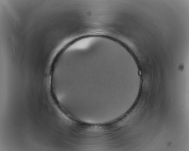 X0000100421414200807032050