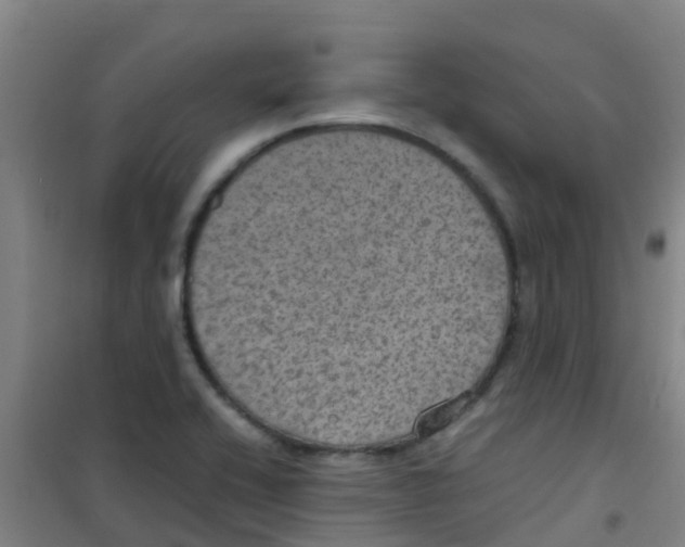 X0000100421416200807032050