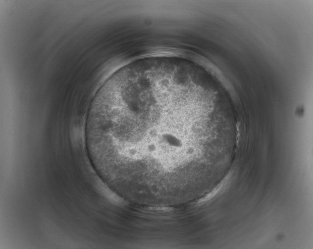 X0000100421417200807032050