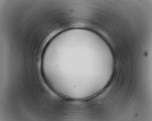 X0000100421418200807032050