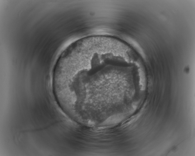 X0000100421419200807032050