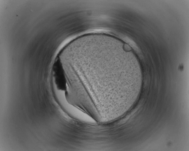 X0000100421420200807032050