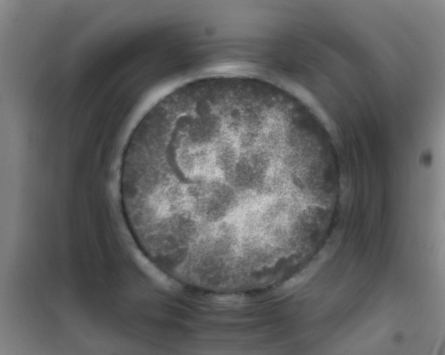 X0000100421421200807032050