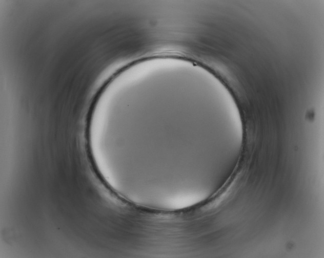 X0000100421422200807032050