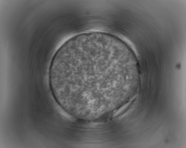 X0000100421423200807032050