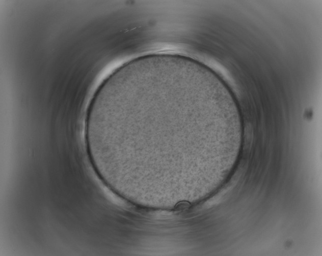 X0000100421424200807032050