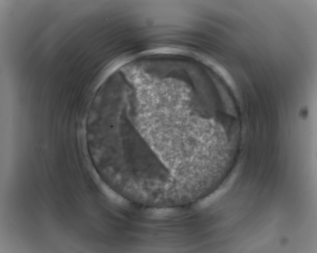 X0000100421425200807032050