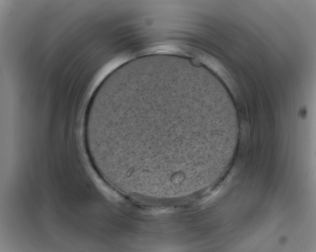 X0000100421426200807032050