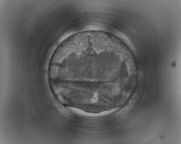 X0000100421427200807032050