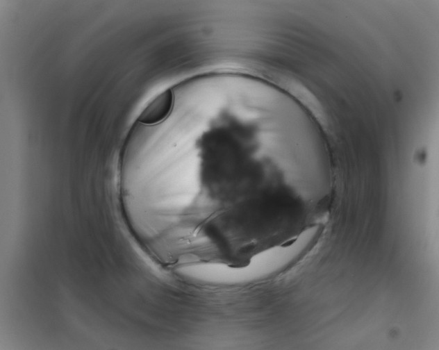 X0000100421428200807032051