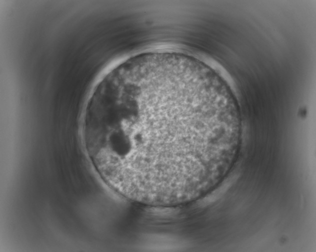 X0000100421429200807032051