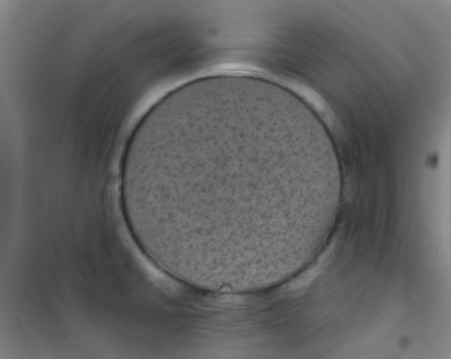 X0000100421430200807032051