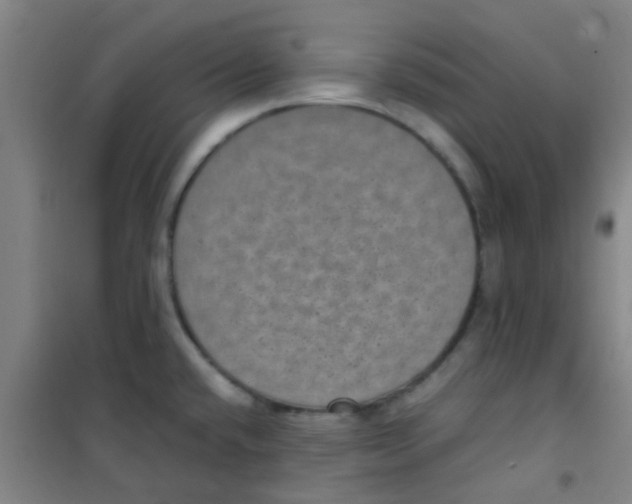 X0000100421432200807032051