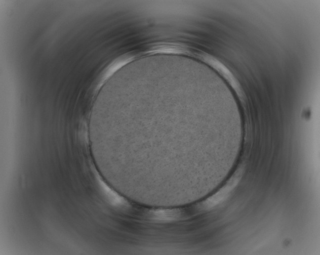 X0000100421433200807032051