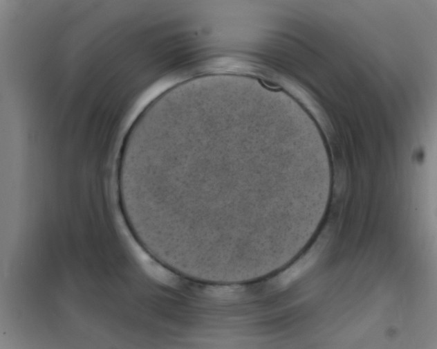 X0000100421434200807032051