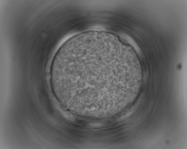 X0000100421435200807032051