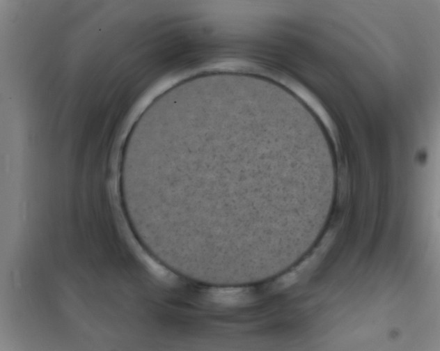 X0000100421437200807032051