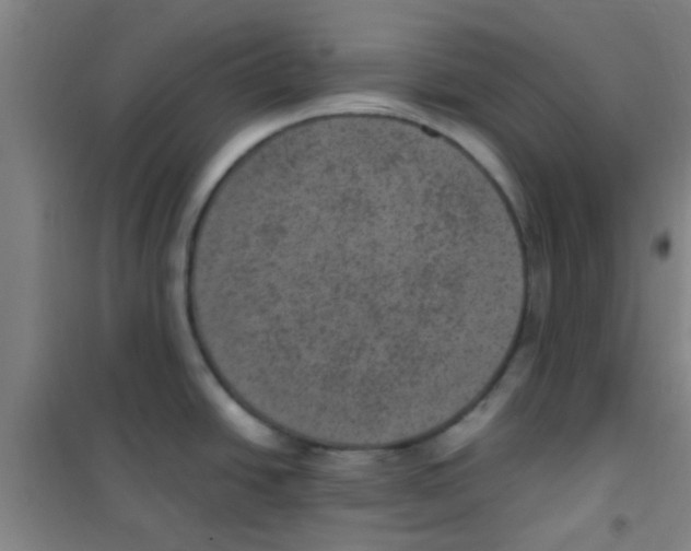 X0000100421438200807032051