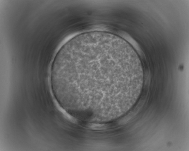 X0000100421439200807032051