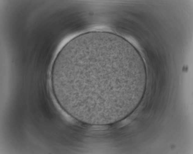 X0000100421440200807032051