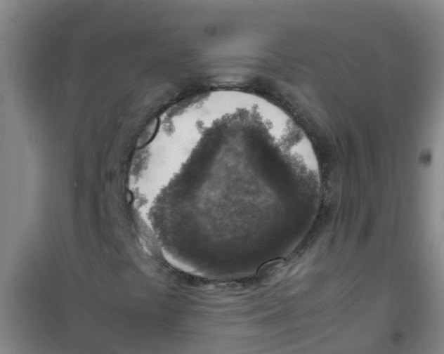 X0000100421441200807032050