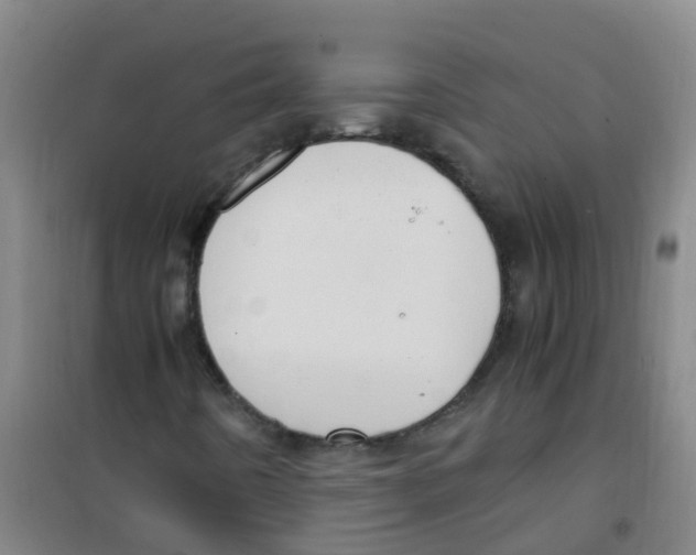 X0000100421442200807032050